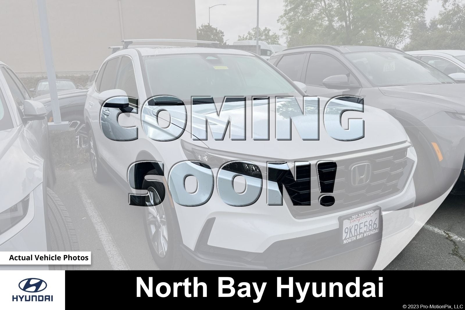 2024 Honda CR-V EX-L AWD's photo