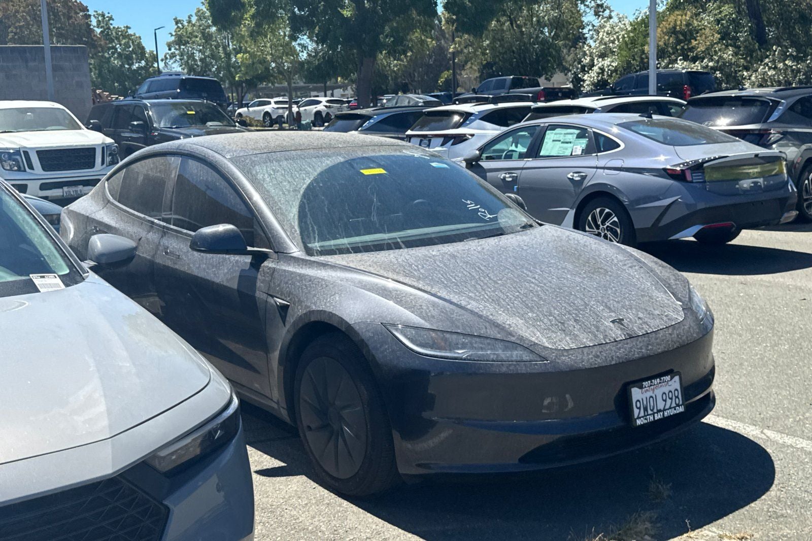 Used 2025 Tesla Model 3 Long Range with VIN 5YJ3E1EA9SF131342 for sale in Petaluma, CA