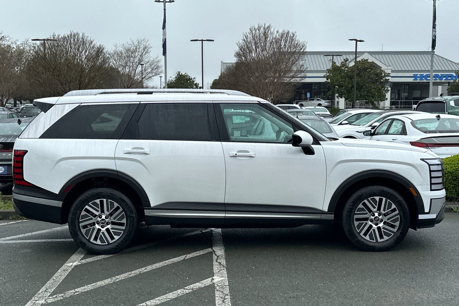 2026 Hyundai PALISADE HYBRID Blue SEL 8 Passenger