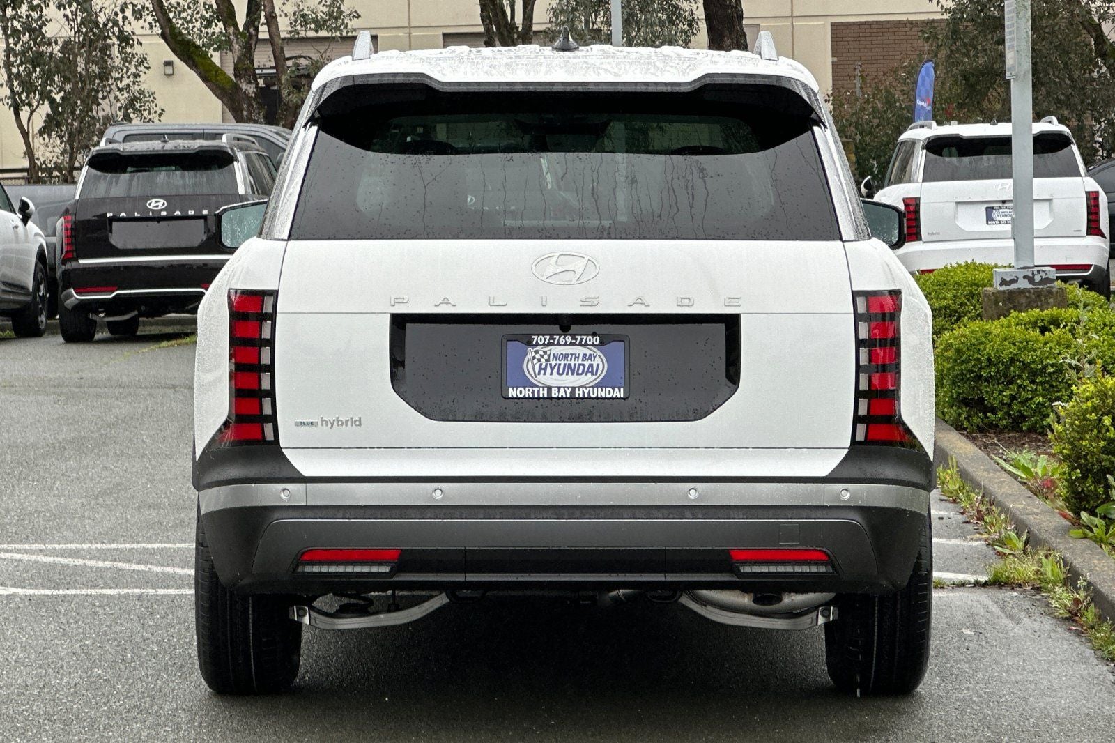 2026 Hyundai PALISADE HYBRID Blue SEL 8 Passenger
