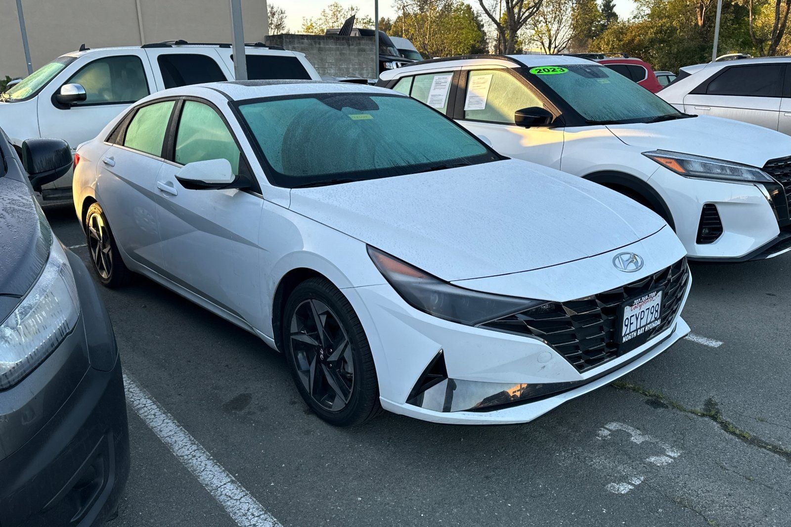 2023 Hyundai ELANTRA HYBRID Limited