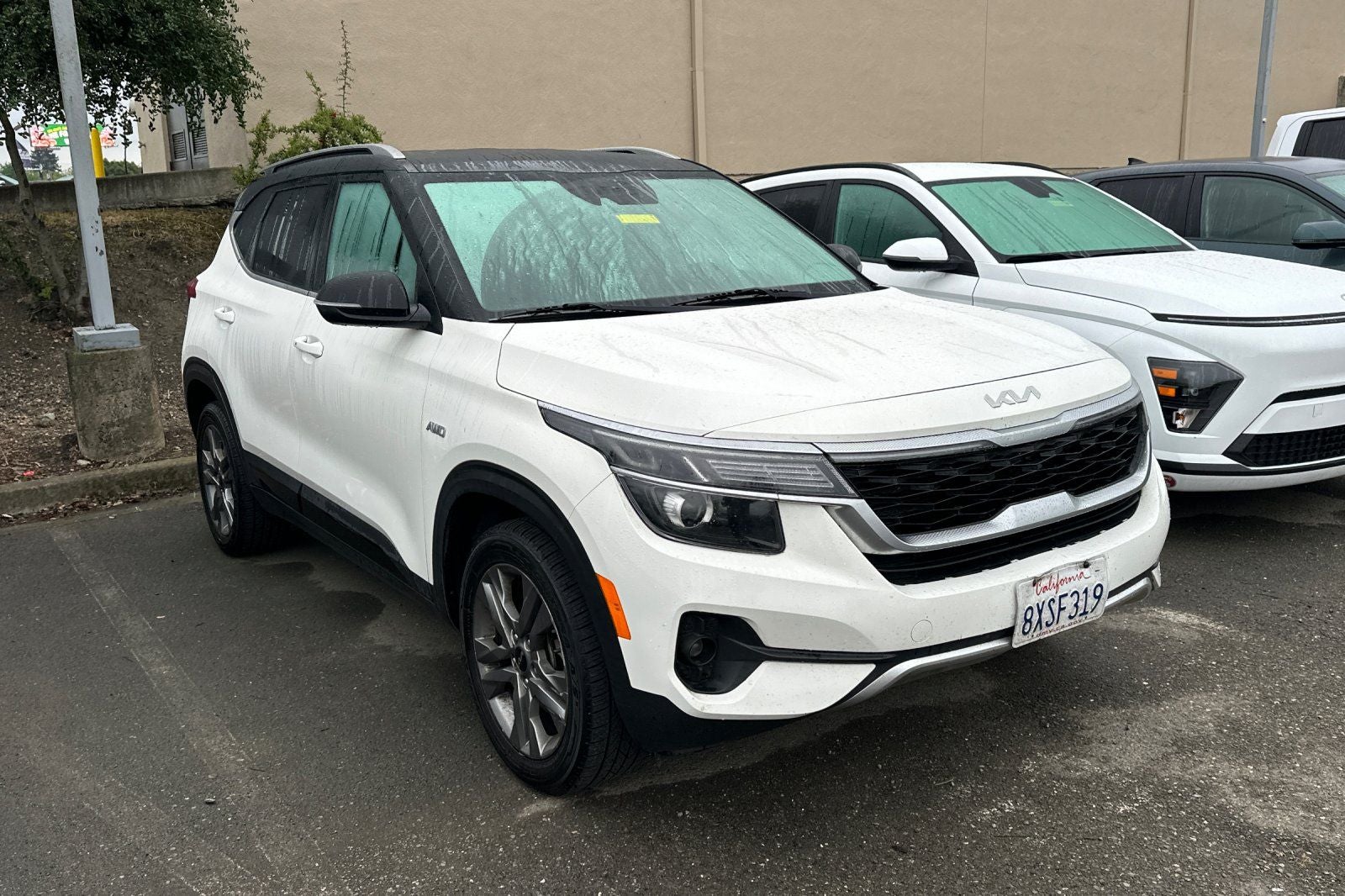 Used 2022 Kia Seltos S with VIN KNDEUCAA9N7260236 for sale in Petaluma, CA